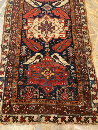 Runner kurde circa 1850. 285 x 108 good pile
Contact via WhatsApp : +33 (0) 614362146