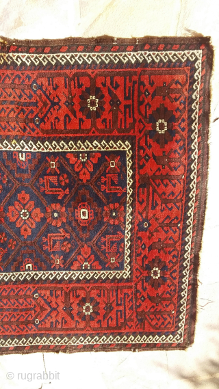 Belouch from Khorasan, with animals.
Contact via WhatsApp : +33 (0) 614362146
                      