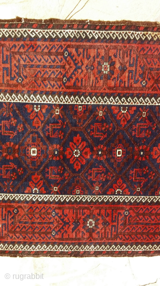 Belouch from Khorasan, with animals.
Contact via WhatsApp : +33 (0) 614362146
                      