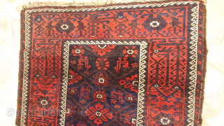Belouch from Khorasan, with animals.
Contact via WhatsApp : +33 (0) 614362146
                      