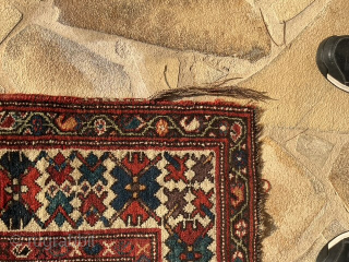 Sud Perse. Louristan
Contact via WhatsApp : +33 (0) 614362146