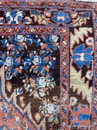 BACHTIAR VILLAGE RUG which is one of a rare group of Bachtiar rugs, which have black or very deep indigo backgrounds, and are from the Zagros mountain region of southern Persia. The  ...