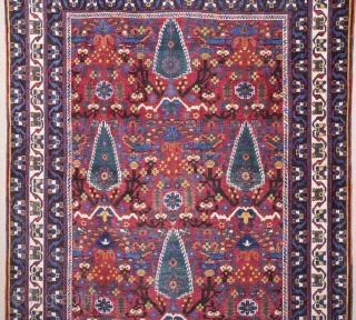 19th Century Unusual Design Colorful Avshar Rug.It's in Perfect Condition.Size 122 x 165 Cm                   