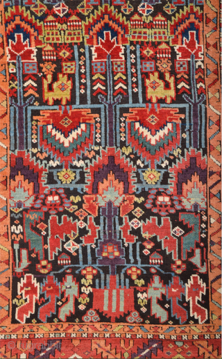 2th Half Of the 19th Century Persian Sauj Bulag Rug, Known as Sauj Bulag these Kurdish rugs were made in the mountainous region south of Lake Urmia. Their ornamentation already reveals slight  ...