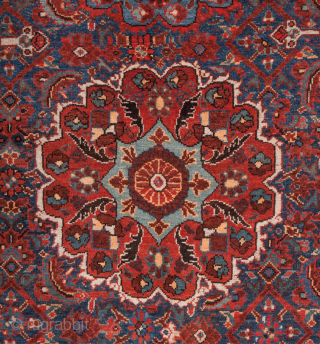 Late 19th Century Persian Shiraz Carpet size 225 x 305 cm                      