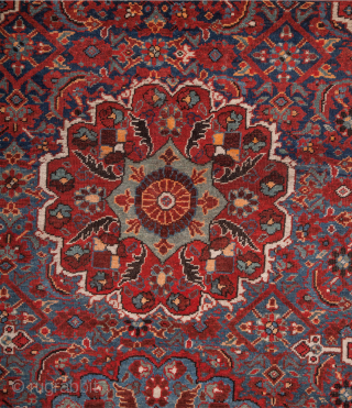 Late 19th Century Persian Shiraz Carpet size 225 x 305 cm                      