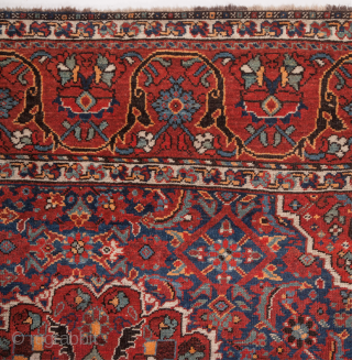 Late 19th Century Persian Shiraz Carpet size 225 x 305 cm                      