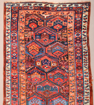 This Middle of the 19th Century Kurdish rug was woven in the mountainous region surrounding Lake Urmia. Items of this kind are known as “Sauj Bulag”, a name that derives from their  ...