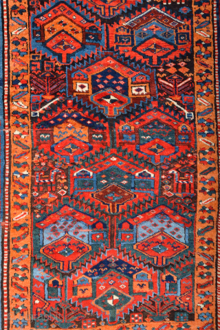 This Middle of the 19th Century Kurdish rug was woven in the mountainous region surrounding Lake Urmia. Items of this kind are known as “Sauj Bulag”, a name that derives from their  ...