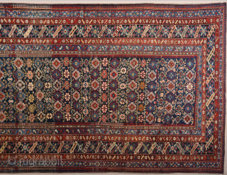 19th Century Shirvan Chi-Chi Rug in Perfect condition Size 150 x 278 cm                    