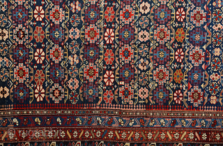 19th Century Shirvan Chi-Chi Rug in Perfect condition Size 150 x 278 cm                    