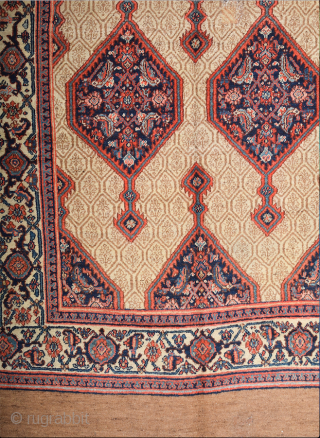 19th Century Hamadan Area Camel Ground Rug Size 210 x 370 cm this Carpet was exported from Iran before 2015 All the colors are naturel and ıt's in good condition.All the sides  ...