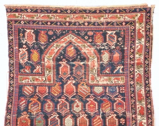 Mid. 19th Century Shirvan Marasali Rug Size 90 x 130 Cm                      