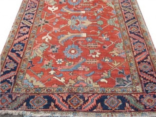 Serapi Heriz Persian circa 1910 antique. Size: 208 x 151 (cm) 6' 10" x 4' 11"  carpet ID: K-5631
Vegetable dyes, the black color is oxidized, the knots are hand spun wool,  ...