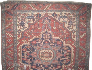 Serapi Heriz Persian circa 1890 antique. Size: 182 x 158 (cm) 6'  x 5' 2"  carpet ID: K5862
Vegetable dyes, the black color is oxidized, the knots are hand spun wool,  ...