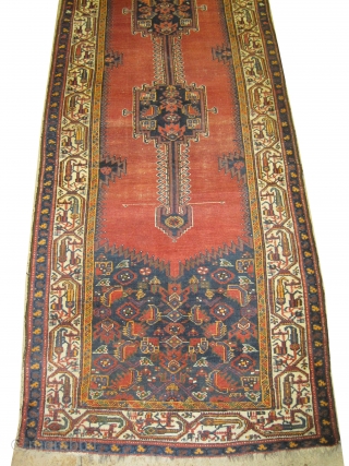 

	

Malaier Persian, knotted circa in 1910 antique, 411 x 109 (cm) 13' 6" x 3' 7" 
 carpet ID: K-4681
The black knots are oxidized, the warp and the weft threads are mixed  ...