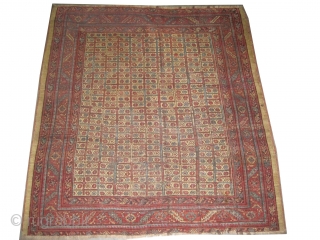 	

Bakshaish Heriz Persian antique.  Size: 186 x 171 (cm) 6' 1" x 5' 7"  carpet ID: P-3112
Vegetable dyes, the warp and the weft threads are 100% wool, the black colour  ...