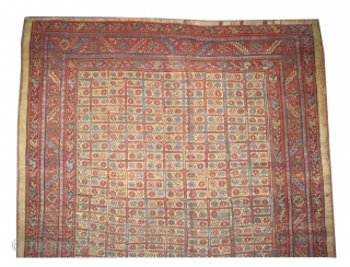 	

Bakshaish Heriz Persian antique.  Size: 186 x 171 (cm) 6' 1" x 5' 7"  carpet ID: P-3112
Vegetable dyes, the warp and the weft threads are 100% wool, the black colour  ...