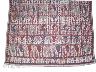  	

Vernneh Caucasian circa 1910 antique. Collector's item, Size: 231 x 150 (cm) 7' 7" x 4' 11"  carpet ID: A-1168
Woven with 100% hand spun wool, all over peacock design, very  ...