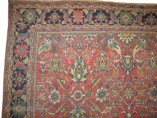 
 Ziegler-Mahal Persian knotted circa in 1890, antique, 338 x 282 (cm) 11' 1" x 9' 3"  carpet ID: P-4737
The black knots are oxidized, the knots are hand spun lamb wool,  ...