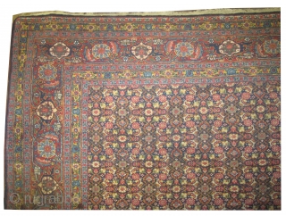 
 	

Senneh Persian, knotted circa in 1915, 365 x 262 (cm) 12'  x 8' 7"  carpet ID: P-12
The black knots are oxidized, the knots are hand spun lamb wool, the  ...