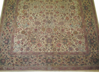 


Tabriz Persian signed, semi antique, Signed as: Tabriz Jahwan.
380 x 294 (cm) 12' 6" x 9' 8"  carpet ID: P-4136
Allover floral and artistic design, the background color is ivory, the surrounded  ...