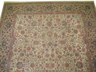 


Tabriz Persian signed, semi antique, Signed as: Tabriz Jahwan.
380 x 294 (cm) 12' 6" x 9' 8"  carpet ID: P-4136
Allover floral and artistic design, the background color is ivory, the surrounded  ...