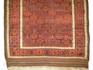 
	

Belutch Persian knotted circa in 1915 antique, 187 x 106 (cm) 6' 2" x 3' 6"  carpet ID: BRDU-1
The knots, the warp and the weft threads are hand spun lamb wool,  ...