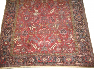 Heriz Persian, knotted circa 1925, 244 x 266 cm, carpet ID: P-3845
In good condition except a slightly used place 3x5cm  at the center,, rare size.       