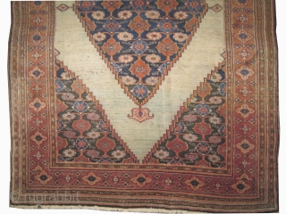 
Dorosch Persian circa 1910 antique. Collector's item. Size: 200 x 130 (cm) 6' 7" x 4' 3"  carpet ID: K-186
High pile, perfect condition, the knots are hand spun lamb wool, the  ...