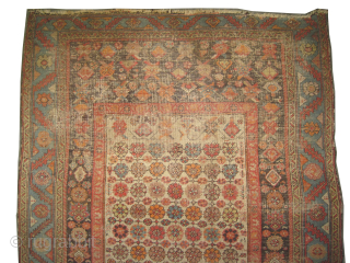 Bakshaish-Heriz Persian knotted circa 1820 antique, collector's item, 130 x 197 cm, ID: K-3190
Rare example, vegetables dyes, the knots are hand spun wool, the black knots are oxidized, the center square is ...