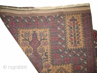 
Belutch prayer Persian, knotted circa in 1924, semi antique, 83 x 126 cm, carpet ID: BRDI-62
The knots, the warp and the weft threads are hand spun lamb wool. Goat hair background, thick  ...