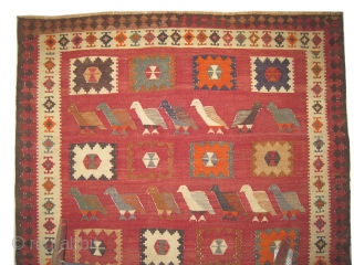 	

Qashqai kelim Persian, mid 20th century. Size: 179 x 160 (cm) 5' 10" x 5' 3"  carpet ID: 6682
Flat woven with hand spun wool, geometric design with partridges, perfect condition and  ...