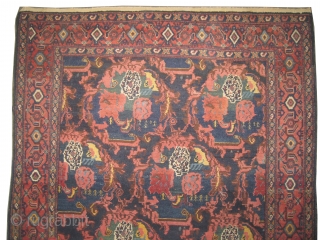 
Senneh Persian knotted circa in 1910 antique, collector's item.  192 x 136 (cm) 6' 4" x 4' 6"  carpet ID: K-80
High pile, in perfect condition, fine knotted, in its original  ...