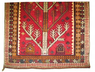 	

Gabbeh Nomad Persian, old,  184 x 115 (cm) 6'  x 3' 9"  carpet ID: T-680
Tree of life design, the warp and the weft threads are mixed with wool and  ...