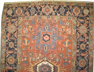 
Karadja Persian circa 1910 antique. Size: 200 x 137 (cm) 6' 7" x 4' 6"  carpet ID: K-4366
Good condition, the pile of the background is slightly shorter than the rest, the  ...