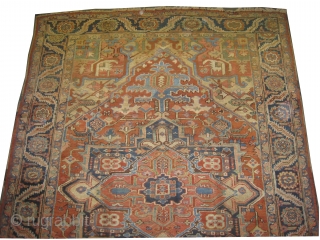 


 	

Serapi Heriz Persian knotted circa in 1902, antique, collectors item, 338 x 238 (cm) 11' 1" x 7' 10"  carpet ID: P-2194
The brown color is oxidized, the knots are hand  ...