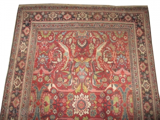 



Mahal Persian knotted circa in 1920 antique, collector's item, 313 x 217 (cm) 10' 3" x 7' 1"  carpet ID: P-5370
The knots are hand spun lamb wool, the black knots are  ...