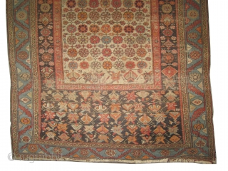 	

Bakshaish-Heriz Persian knotted circa in 1870 antique, collector's item,  197 x 130 (cm) 6' 6" x 4' 3"  carpet ID: K-3190
Very rare example, the pile is uniformly short, up part  ...