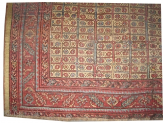 
Bakshaish Heriz Persian knotted circa in 1820 antique, collector's item  186 x 171 (cm) 6' 1" x 5' 7"  carpet ID: P-3112
The background is knotted with camel hair, the surrounded  ...