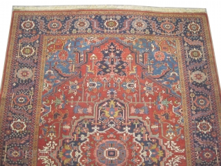 	

Serapi-Heriz Persian knotted circa in 1905 antique, collector's item, 340 x 250 (cm) 11' 2" x 8' 2"  carpet ID: P-5325
High pile, in excellent condition, very finely knotted, the black color  ...