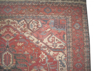 Serapi Heriz Persian circa 1890 antique. Collector's item, Size: 600 x 388 (cm) 19' 8" x 12' 9"  carpet ID: P-5035
Good condition, the colors of the center medallion are: indigo, sand  ...