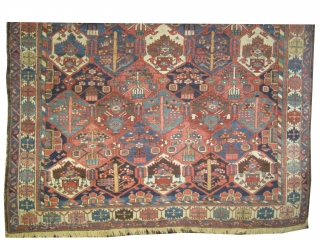 
Baktiar Persian knotted circa in 1915 antique, 283 x 216 (cm) 9' 3" x 7' 1"  carpet ID: P-5960
The knots are hand spun wool, allover geometric design, high pile in perfect  ...