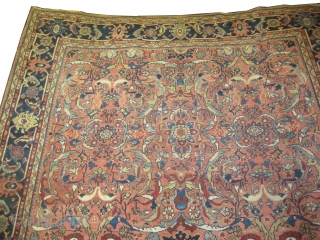 	

Ziegler-Mahal Persian knotted circa in 1905 antique, 387 x 270 (cm) 12' 8" x 8' 10"  carpet ID: P-6280
The background color is terracotta, allover design, the surrounded large border is indigo,  ...