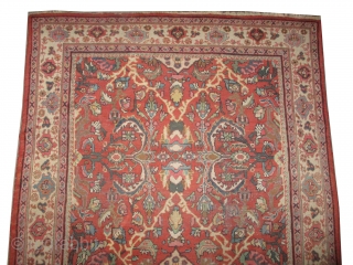 Mahal Persian knotted circa in 1926 antique, 310 x 218 (cm) 10' 2" x 7' 2" 
 carpet ID: P-5783
The black knots are oxidized, the knots are hand spun lamb wool, the  ...