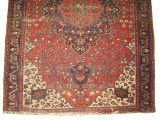 
Farahan Sarouk Persian, antique, 192 x 125 cm, ID: RSZ-1
The knots are hand spun wool, the black knots are oxidized, the background color is tomato red, the center medallion is indigo with  ...