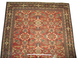 Mahal Persian, knotted circa in circa 1920 antique, 345 x 252 (cm) 11' 4" x 8' 3" 
 carpet ID: P-2997
The black knots are oxidized, the knots are hand spun wool, certain  ...