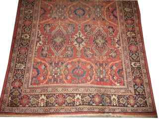 Mahal Persian knotted circa in 1920 antique, 310 x 218 (cm) 10' 2" x 7' 2" 
 carpet ID: P-4659
The black knots are oxidized, the knots are hand spun wool, all over  ...