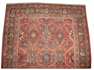 Mahal Persian knotted circa in 1920 antique, 310 x 218 (cm) 10' 2" x 7' 2" 
 carpet ID: P-4659
The black knots are oxidized, the knots are hand spun wool, all over  ...