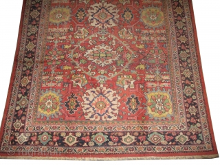 Mahal Persian knotted circa in 1918 antique, 320 x 224 (cm) 10' 6" x 7' 4"  carpet ID: P-5064
The black knots are oxidized, the knots are hand spun wool, all over  ...